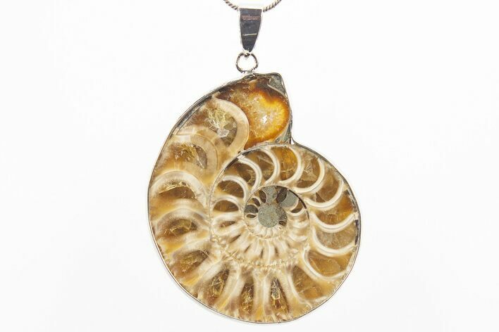 Fossil Ammonite Pendant - Million Years Old #306498